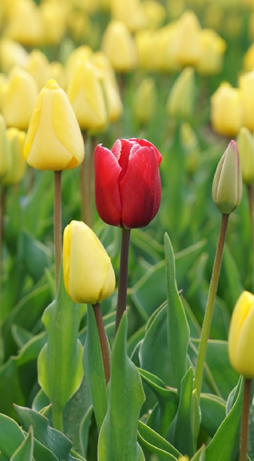 ErfahrungenScout Kundenrezensionen Erfahrungsberichte Und Beschwerden 