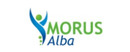 Morus Alba Firmenlogo für Erfahrungen zu Ernährungs- und Gesundheitsprodukten