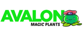 Avalon Magic Plants Firmenlogo für Erfahrungen zu Online-Shopping Testberichte Büro, Hobby und Partyzubehör products