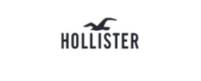 Hollister Firmenlogo für Erfahrungen zu Online-Shopping Testberichte zu Mode in Online Shops products